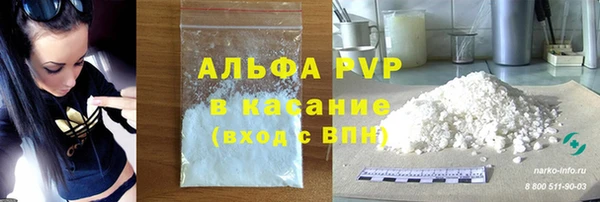 стафф Новозыбков