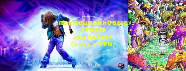 стафф Новозыбков