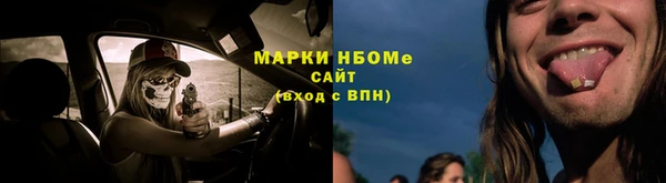 стафф Новозыбков