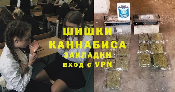 молекула духа Новодвинск