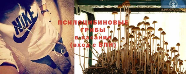 стафф Новозыбков