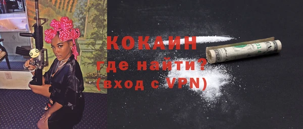 стафф Новозыбков